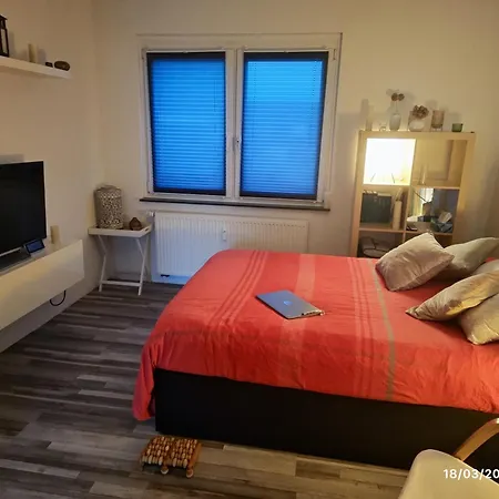 Проживание в семье Airport *